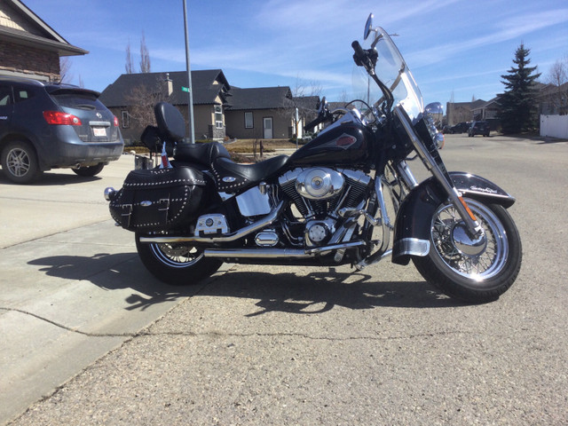 2001 Harley Davidson Heritage Softail Classic  in Street, Cruisers & Choppers in Red Deer - Image 3