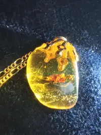 Amber Pendant with Insects