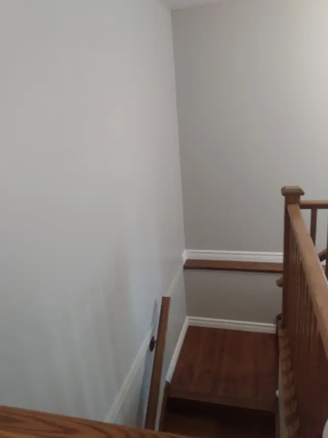 Professional Painter63013090737411124