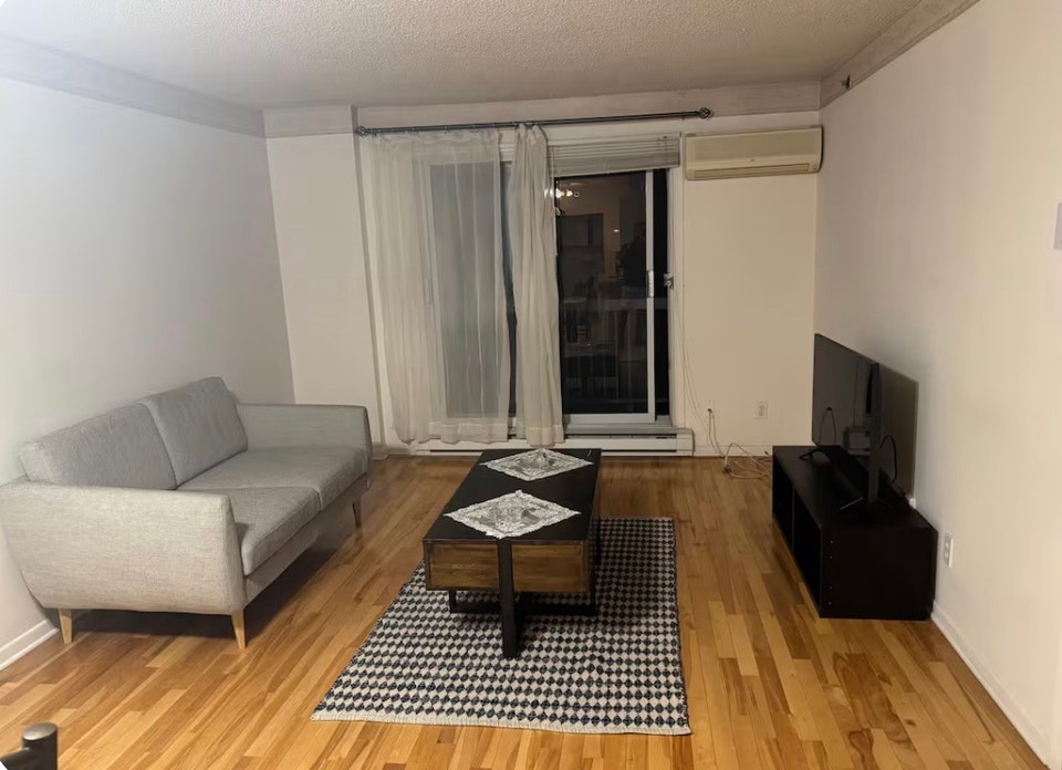 Beautiful Furnished 1-Bedroom (3/12) Apartment for Rent 2