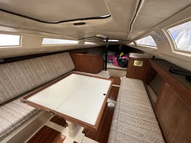 Hobie 33 Sailboat in Sailboats in Barrie - Image 6