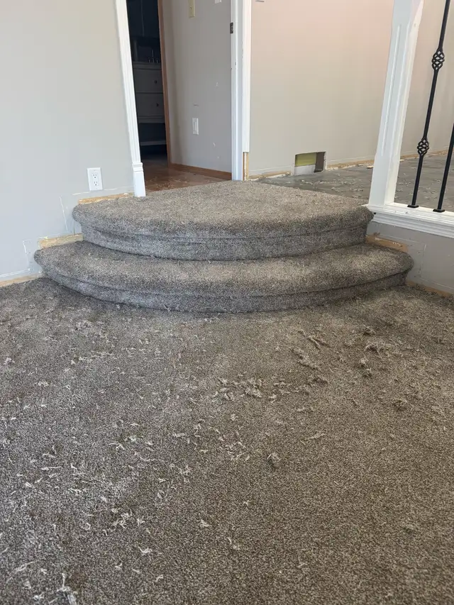 Carpet Supply and Installation63005664941313123