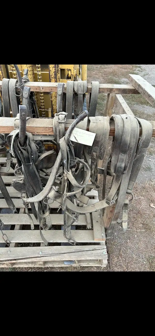 Harness  in Arts & Collectibles in Swift Current - Image 5