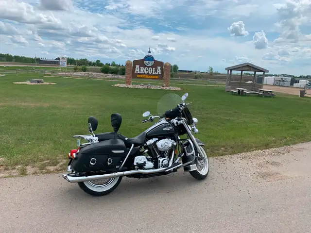 Harley Davison in Street, Cruisers & Choppers in Regina - Image 4