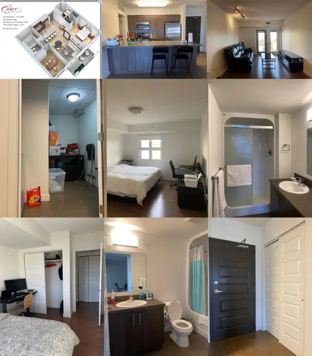 sublet apartment unit in 800 Dovercourt  in Long Term Rentals in Winnipeg - Image 2