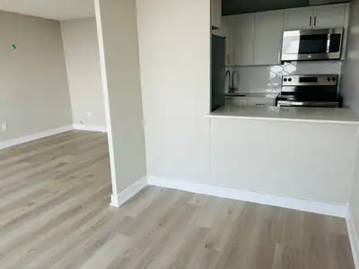 Bachelor/Studio Available for August 1st