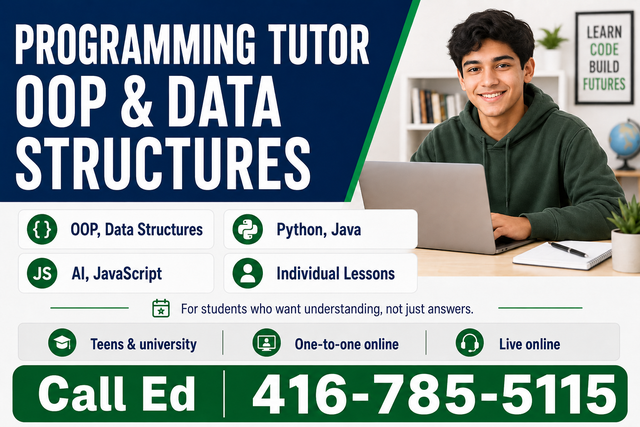Free Programming Tutor Individual Lessons505382090090762241