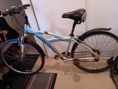 This is a shwine brand name bike very durable the bike is a adult unisex mountain bike for men and w...