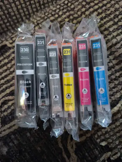 6-Pack Premium Ink Cartridges for Canon – PGI-230 & CLI-231 , View more