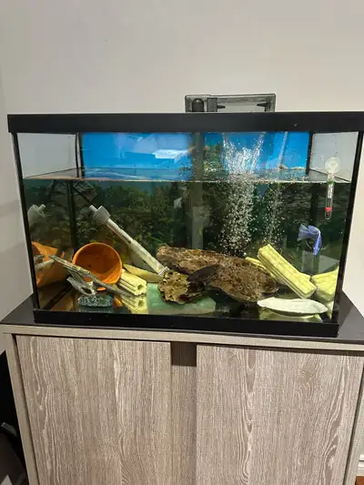  Marina LED Aquarium 20 Gallon, , View more