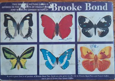 1964 Brooke Bond Teacards Album " Butterflies Of The World" , View more