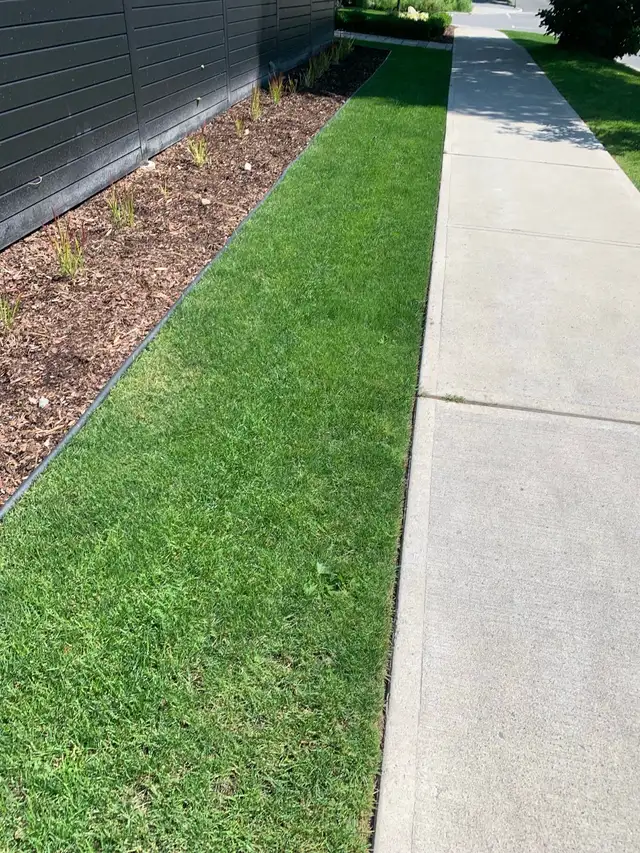 Yard work531649299282677761