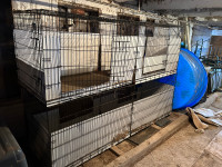 DOG KENNEL CAGES EXTRA LARGE 