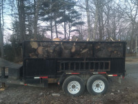 Hard and softwood firewood
