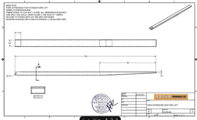 10' fork extensions, recently NDT testing passed. Don't need them. See drawings for specs.