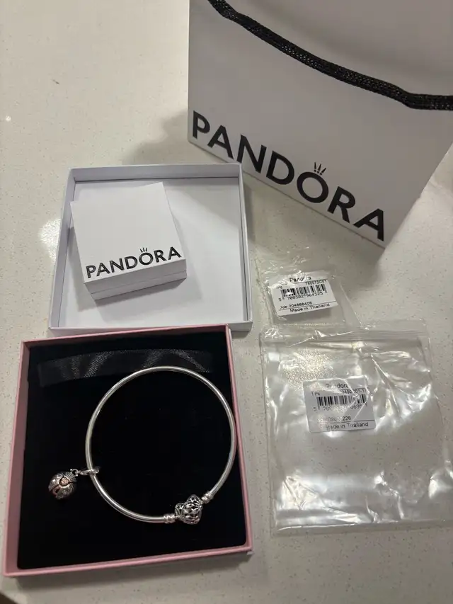 New Pandora Celestial Heart Clasp Bangle & Ladybird 2022 Heart628637368965131221