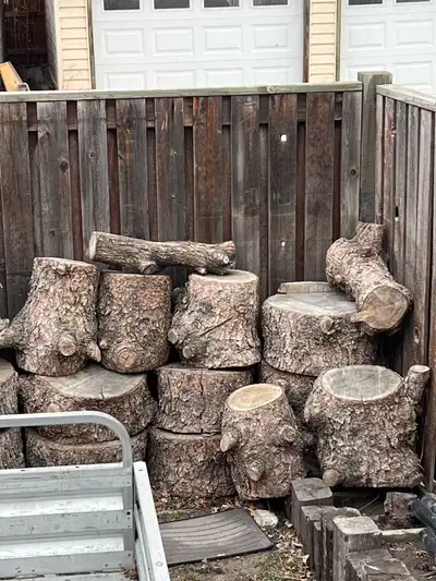 I have a lot of firewood very dry for sale. Come on over. I'm willing to bargain. Tel (403) 719-9569