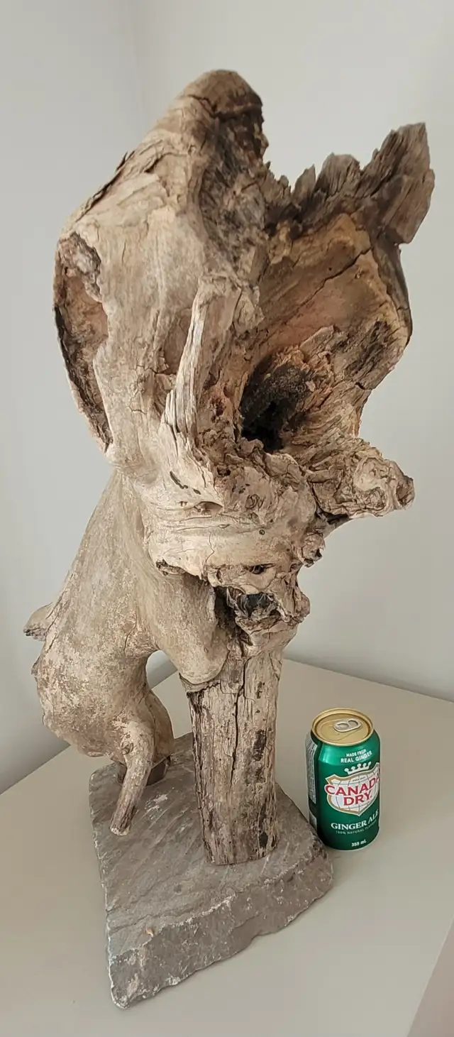 Bois Flotté Accessoire sur base Aquarium Driftwood w/base in Hobbies & Crafts in Laval / North Shore - Image 3