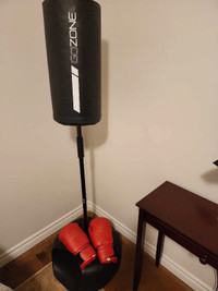 Punching bag and boxing gloves
