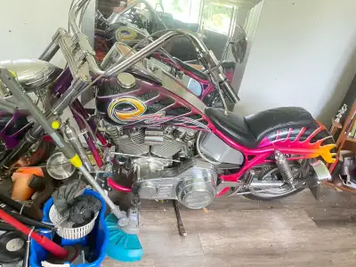 Feast your eyes on this custom one of a kind motorcycle, a true head-turner with its unique paint jo...