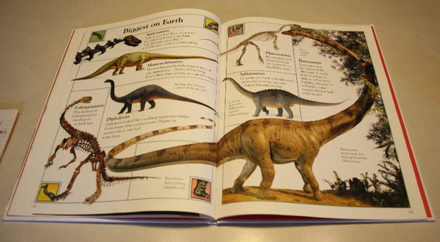The Big Book Of Dinosaurs in Children & Young Adult in Saint John - Image 3