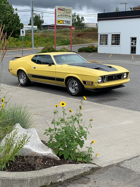 LAST CHANCE 1973 Ford Mach One Mustang /351 Cleveland in Classic Cars in Terrace - Image 3
