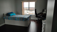 Large Private room for rent (with ensuite washroom)