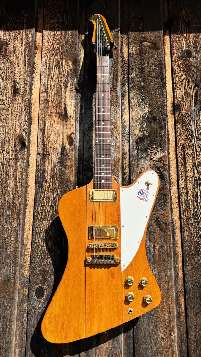 1976 Gibson Firebird Bicentennial in Guitars in Kawartha Lakes - Image 3