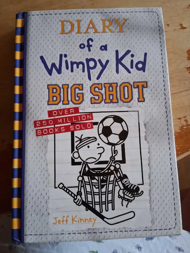 DIARY OF A WIMPY KID LOT OF 14  BOOKS in Children & Young Adult in Muskoka - Image 5