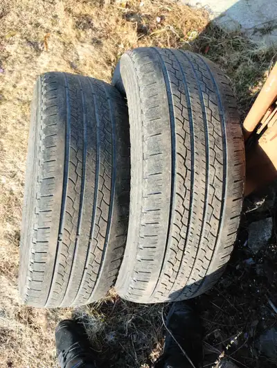 Have two tires that will be good for one season