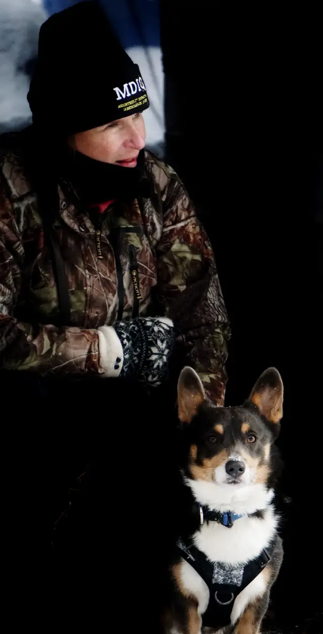 Magnifique Corgi Pembroke chiots in Dogs & Puppies for Rehoming in Laurentides - Image 4