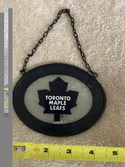 Toronto Maple Leaf paraplegia, new hockey $5 and up, View more