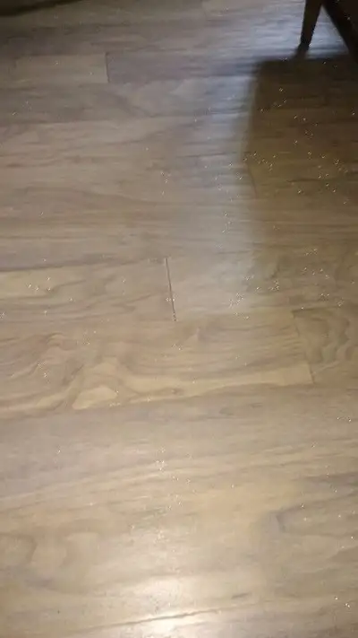 Hardwood engineered walnut, View more