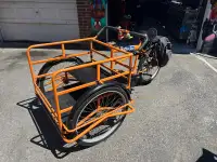 Single Speed Reverse Cargo Trike
