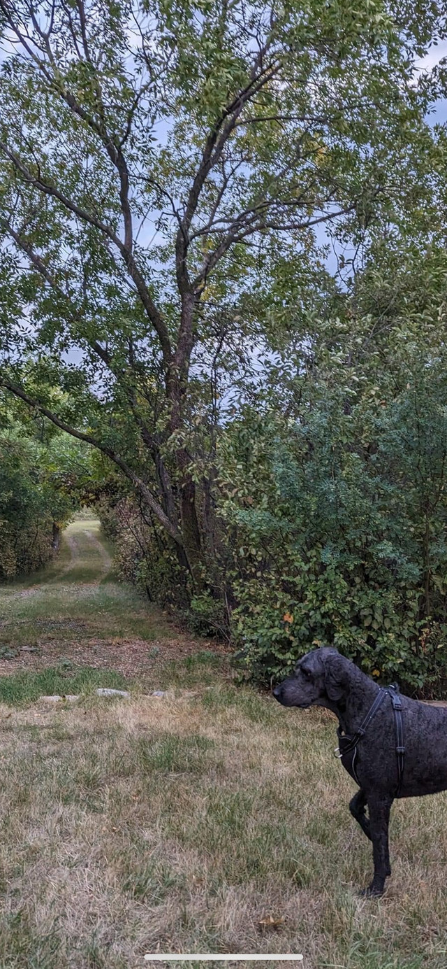 Lakefront Property Land for Sale Regina Kijiji