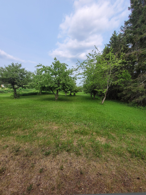 BEAUTIFUL COUNTRY HOUSE FOR SALE BY OWNERS Houses for Sale Thunder