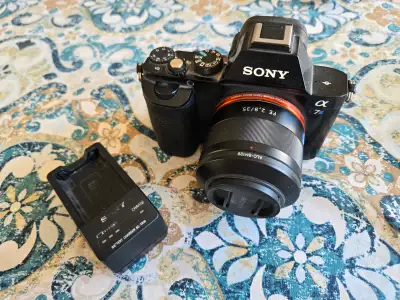 Sony Camera and Lenses: a7rii, a7s, superzoom, View more
