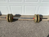 York Weights and Bar - 4x25 lbs Weights