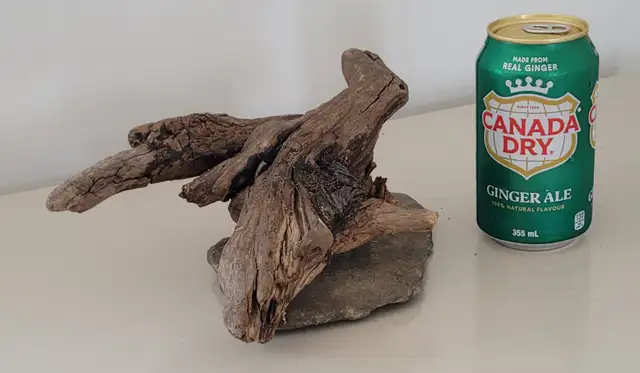 Petit Bois Flotté Accessoire sur base Aquarium Driftwood w/base in Hobbies & Crafts in Laval / North Shore - Image 5