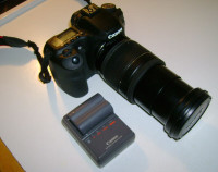 Canon EOS 50D and EFS 18-200 (with image stabilizer)