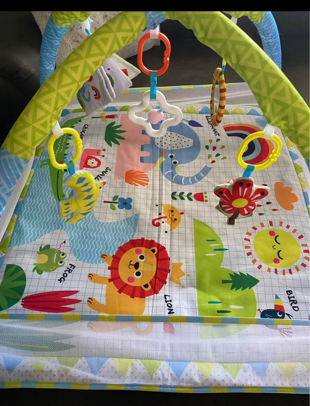 BABY ACTIVITY MAT  in Other in Owen Sound - Image 2
