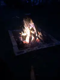 Dry Premium Campfire Wood
