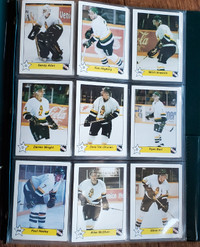 1994-95 Prince Albert Raiders Hockey Cards