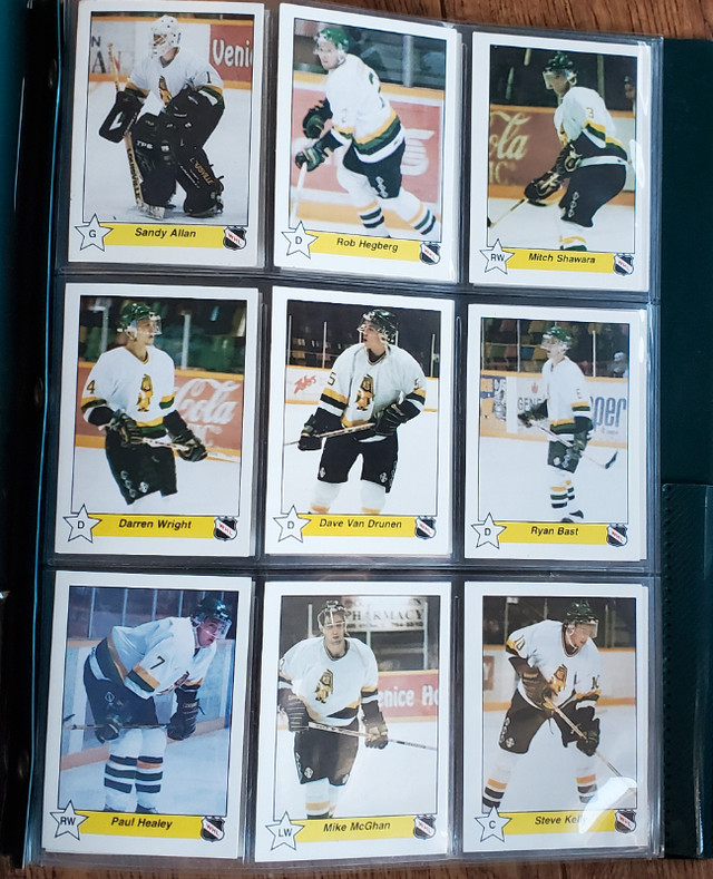 1994-95 Prince Albert Raiders Hockey Cards in Arts & Collectibles in Prince Albert