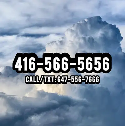 Premium Phone Numbers 416-566-5656 Popular Vip Phone Numbers, View more