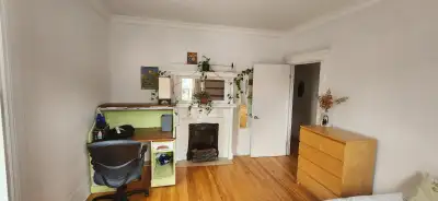 Belle grande chambre au coeur du Mile-end