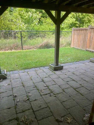 Basement for Rent