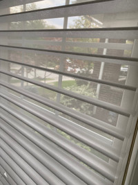  Hunter Douglas Silhouette blinds (7)