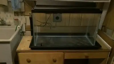25gallon fish tank ., View more