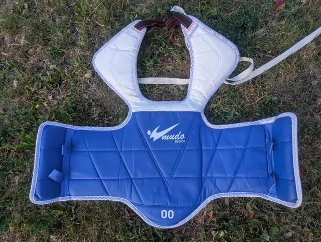 TaeKwonDo Chest Guard418454920339148803